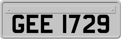 GEE1729