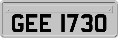 GEE1730