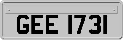 GEE1731