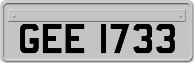 GEE1733