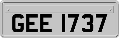 GEE1737