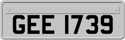 GEE1739
