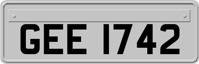 GEE1742