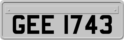GEE1743