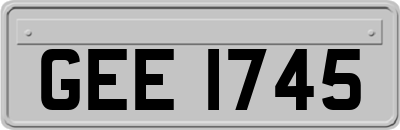 GEE1745