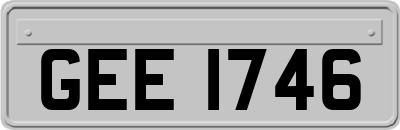 GEE1746