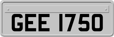 GEE1750
