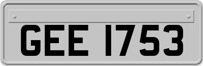 GEE1753