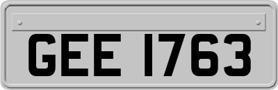 GEE1763
