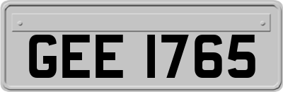 GEE1765