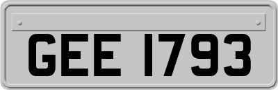 GEE1793