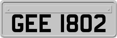 GEE1802