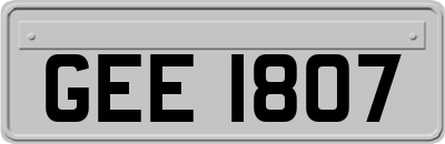 GEE1807
