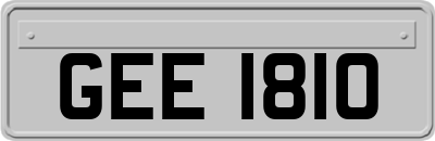 GEE1810