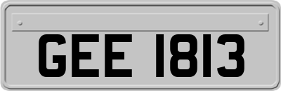 GEE1813