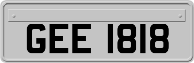 GEE1818