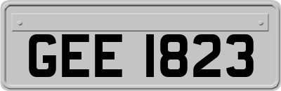 GEE1823