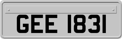GEE1831