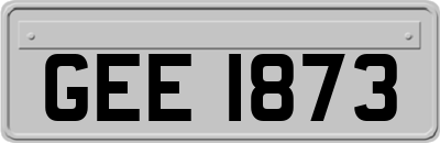 GEE1873