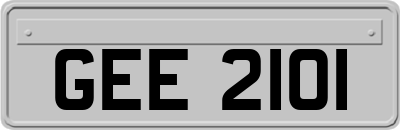 GEE2101