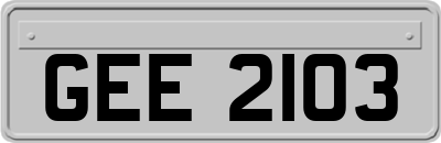 GEE2103
