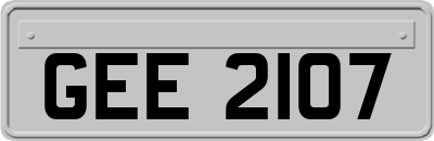 GEE2107