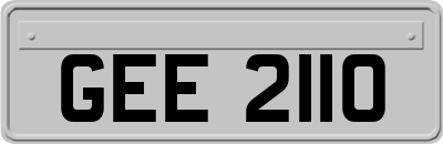 GEE2110