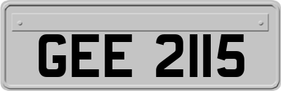 GEE2115