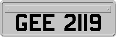 GEE2119
