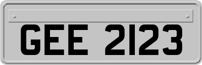 GEE2123
