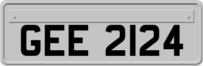 GEE2124