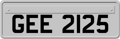 GEE2125