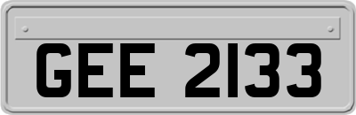 GEE2133
