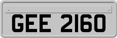 GEE2160