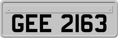 GEE2163