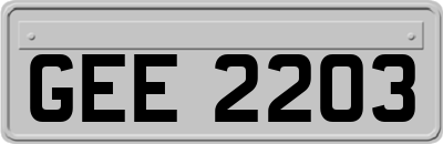 GEE2203
