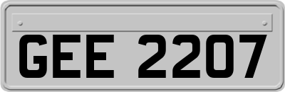 GEE2207