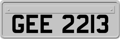 GEE2213