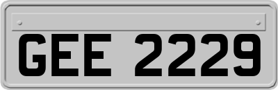 GEE2229