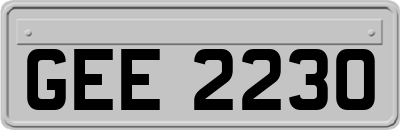 GEE2230