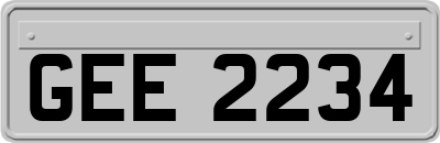 GEE2234