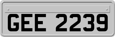GEE2239