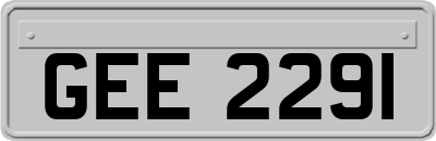GEE2291