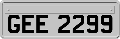 GEE2299