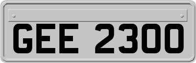 GEE2300
