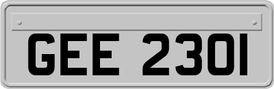 GEE2301