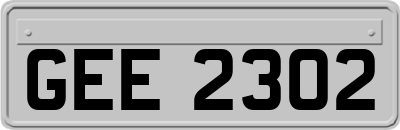 GEE2302