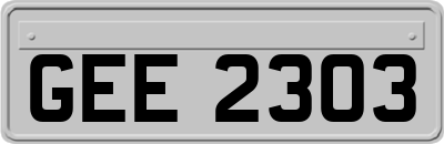 GEE2303