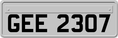 GEE2307