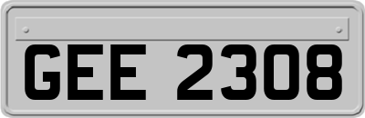 GEE2308